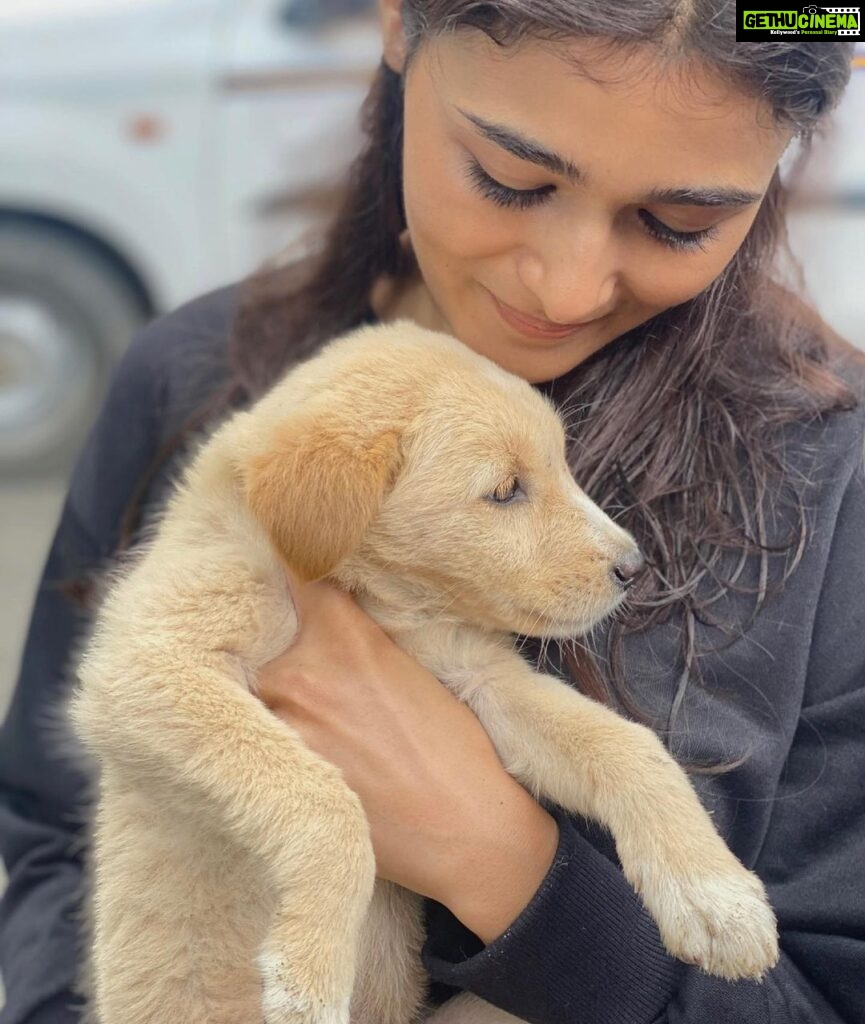 Shalini Pandey Instagram - 27.09.2021 was the day when I held you for the first time two years back. I can never ever forget the moment when I saw you lost and crying and my heart ached. The moment I held you, you stopped crying and I knew you’re mine and I’m yours. My baby girl Thankyou for coming into my life. Thankyou for saving me every time I needed to be saved. You’re the best gift I could have asked for. I love you forever and ever and ever… Cheers to my baby girl who has the most beautiful eyes and the best tail ever♥️♾️ #bir 🙃 #mymountaingirl Bir, Himachal Pradesh
