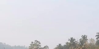 Shalu Menon Instagram - ❤️❤️… #shalumenon#dancer#dancereels #insta #instalove #lovequotes #trending #classicaldancer #utralikkavupooram2023 #temple #actresslife #malayalamactress #indiandancers__ #indianclassicaldancer #lovesongs #music