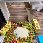 Shalu Shammu Instagram – Ayudha Pooja Celebration 🎉 

#shalushamu #raviranganathan #suhaacosmeticclinic #allinsin #zenenterprises #mswitchfintechsolution #mswitchfinance #mswitchhealth #company #ayudhapooja #celebration #staffs #🥰 Suhaa Multispeciality Cosmetic Clinic