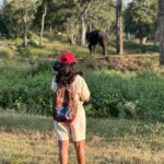 Sharanya Turadi Instagram - Elephants of Theppakadu 🐘 3 things you can never get enough of watching, Elephants, A new born baby and the ocean How true? Paathukite irukalam ❤️🥹 Established in 1923, Theppakadu Elephant Camp stands as the oldest elephant camp in Asia. Presently, it houses 24 elephants and serves as a training and rehabilitation center for these majestic creatures. It is situated within the Mudumalai Wildlife Sanctuary and was initially founded to manage and train elephants used for forestry tasks like logging and timber transportation. This camp got super famous after the academy award winning Shortfilm Elephant whisperers and continue to attract more tourists around the world. This elephant camp functions as a popular tourist destination and a center for rehabilitating captive elephants. Tourists can witness elephants being fed and bathed, and can also take elephant rides and safaris. In addition, the camp provides training programs for mahouts and educates visitors about the significance of elephant conservation. 📍Theppakadu, Tamilnadu #photodump #elephantwhisperers #tamilnadu #tamilnadutourism #theppakadu