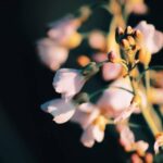 Sharvary Joshi Instagram -