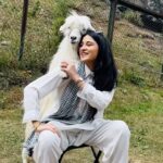 Sheen Dass Instagram - 🐐Ajay spotted in #betabvalley #pahalgam . . #ajaythegoat #funny #justforfun #tag #ajay Betab Valley