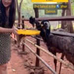 Sheen Dass Instagram - Morning with farmyard friends 🌞🐾 @foresthillstala 🏡 Forest Hills at Tala