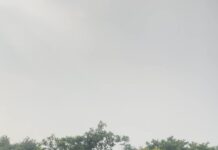 Shehnaaz Kaur Gill Instagram - #nature