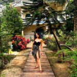 Sherlin Seth Instagram – Goa’23 dump 💛
Ps: gets real-er as you swipe 
@palmorama.goa @w_goa
.
.
.
.
#sherlinseth #beachdress #bikini #viral #explore #bollywood #vacation #goa #food