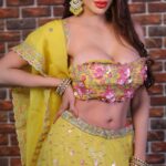 Sherlyn Chopra Instagram - #navratri #celebration #day5 🔥🔥🔥