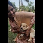 Shivani Baokar Instagram - So this happened on set! #lavangimirchi #doglover #indie #shootlocation #whyaretheysocute 🥺❤️ PC @mithila_ashok