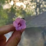 Shivani Baokar Instagram - Mornings 🌤️