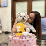 Shivshakti Sachdev Instagram - Sukoon isse kehte hai ✨ This staycation was much needed for all of us and it was our baby's 3rd Birthday. Such properties makes you value nature and gives you that sukoon walli feeling. Villa - Hillside Meadows #hosted #mumbai #family #staycation #love #maltese #birthday #holiday #friends #blessings #sukoon #just Karjat, India