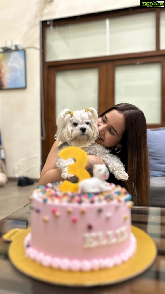 Shivshakti Sachdev Instagram - Sukoon isse kehte hai ✨ This staycation was much needed for all of us and it was our baby's 3rd Birthday. Such properties makes you value nature and gives you that sukoon walli feeling. Villa - Hillside Meadows #hosted #mumbai #family #staycation #love #maltese #birthday #holiday #friends #blessings #sukoon #just Karjat, India
