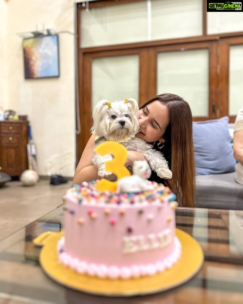 Shivshakti Sachdev Instagram - The only way to Unwind , Take a Staycation ✨ We celebrated Ellie's 3rd Birthday at this beautiful property and with her favourite people. She is truly everyone's Favourite Blessing❣ Its amazing how finding Pet Friendly Properties isn't a task these days. Like us, even they need a staycation !!! Property Name : Hillside Meadows @stayvista_official #hosted #staycation #holiday #property #petlovers #petfriendly #family #friends #love #birthday #maltese #dogbirthday #celebration Karjat, India