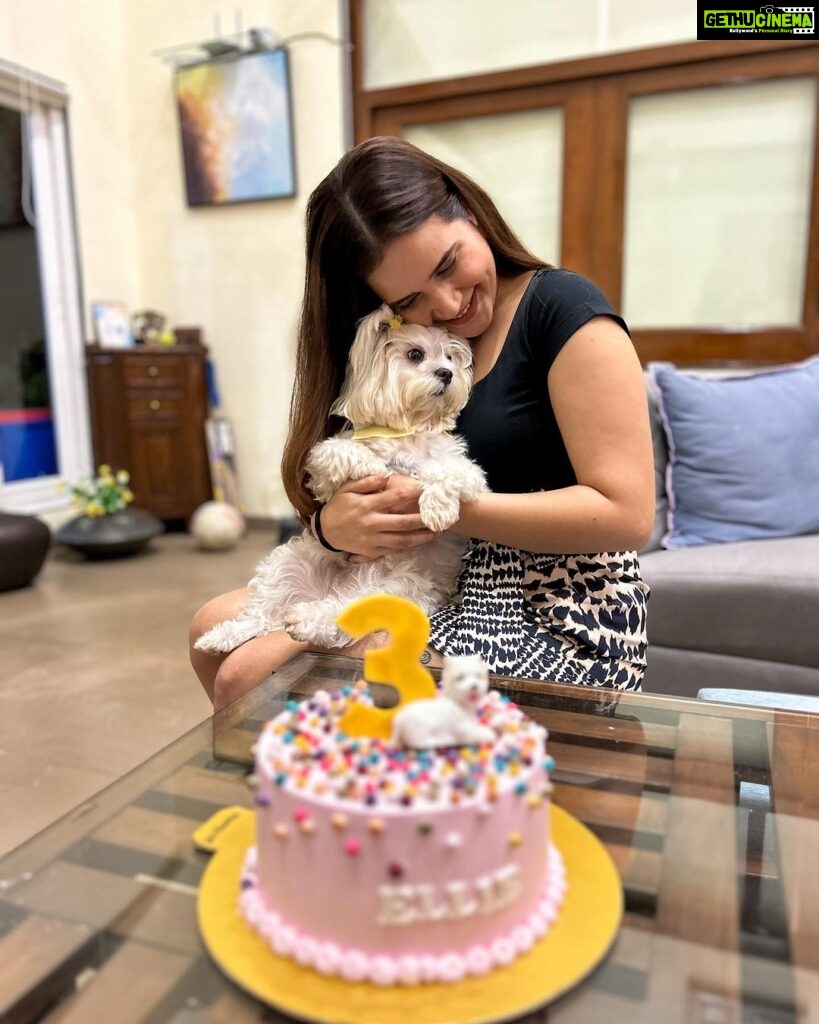 Shivshakti Sachdev Instagram - The only way to Unwind , Take a Staycation ✨ We celebrated Ellie's 3rd Birthday at this beautiful property and with her favourite people. She is truly everyone's Favourite Blessing❣ Its amazing how finding Pet Friendly Properties isn't a task these days. Like us, even they need a staycation !!! Property Name : Hillside Meadows @stayvista_official #hosted #staycation #holiday #property #petlovers #petfriendly #family #friends #love #birthday #maltese #dogbirthday #celebration Karjat, India