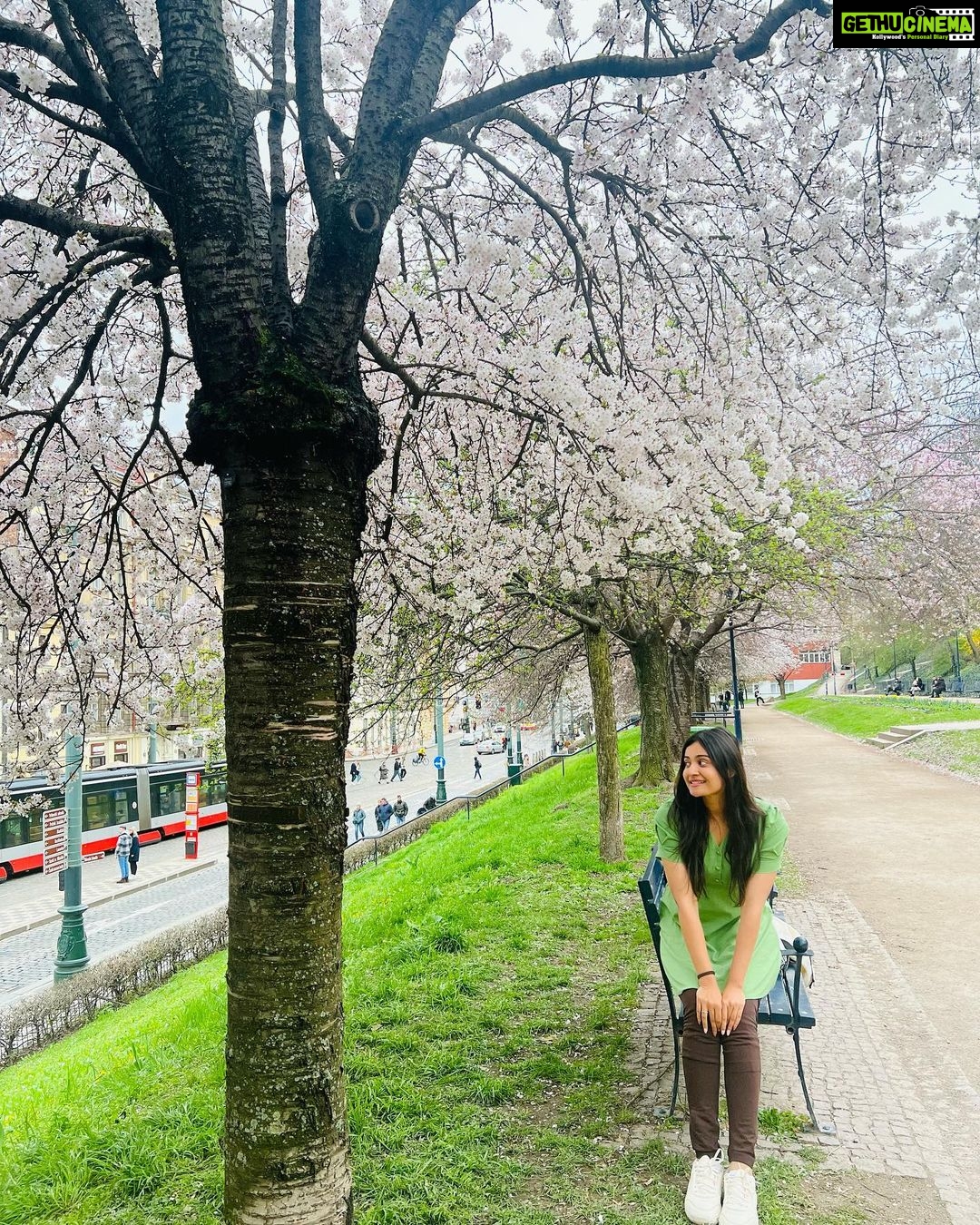 Shraddha Dangar Instagram - Bakisab thik hai , lekin Trip khatam hone ke baad bhi photos upload karna LEGAl hona hi chahiye🫡 The struggle of asking strangers to take picture was real , bhaisaab 😢😢 Phir kya hi fayda agar post hi na karein !! Sahi hai na!???? Prague, Czech Republic