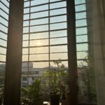 Shraddha Kapoor Instagram - Need dhoop like Jaadoo 😍☀️💙