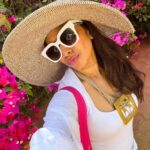 Shreya Bugde Instagram - Wherever you go bougainvillea follows….. On holidays too 💕 PS: Also I am thinking to file an official petition for a bougainvillea emoji 🙈 #eternalbougainvillealover #swipe➡️