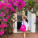 Shreya Bugde Instagram - Wherever you go bougainvillea follows….. On holidays too 💕 PS: Also I am thinking to file an official petition for a bougainvillea emoji 🙈 #eternalbougainvillealover #swipe➡️