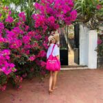 Shreya Bugde Instagram - Wherever you go bougainvillea follows….. On holidays too 💕 PS: Also I am thinking to file an official petition for a bougainvillea emoji 🙈 #eternalbougainvillealover #swipe➡️