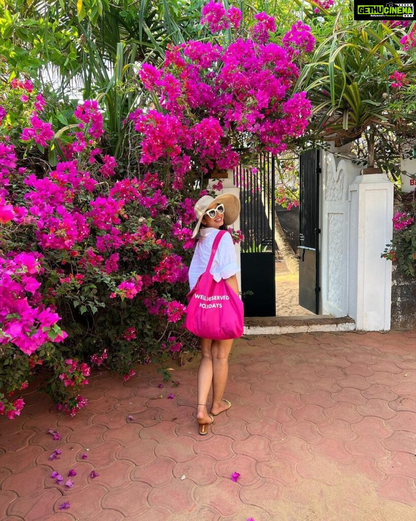 Shreya Bugde Instagram - Wherever you go bougainvillea follows….. On holidays too 💕 PS: Also I am thinking to file an official petition for a bougainvillea emoji 🙈 #eternalbougainvillealover #swipe➡️