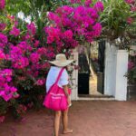 Shreya Bugde Instagram - Wherever you go bougainvillea follows….. On holidays too 💕 PS: Also I am thinking to file an official petition for a bougainvillea emoji 🙈 #eternalbougainvillealover #swipe➡️