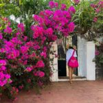 Shreya Bugde Instagram - Wherever you go bougainvillea follows….. On holidays too 💕 PS: Also I am thinking to file an official petition for a bougainvillea emoji 🙈 #eternalbougainvillealover #swipe➡️