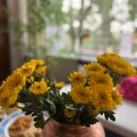 Shreya Bugde Instagram - दिवाळी पाडवा !!!🌼🌸✨🧿