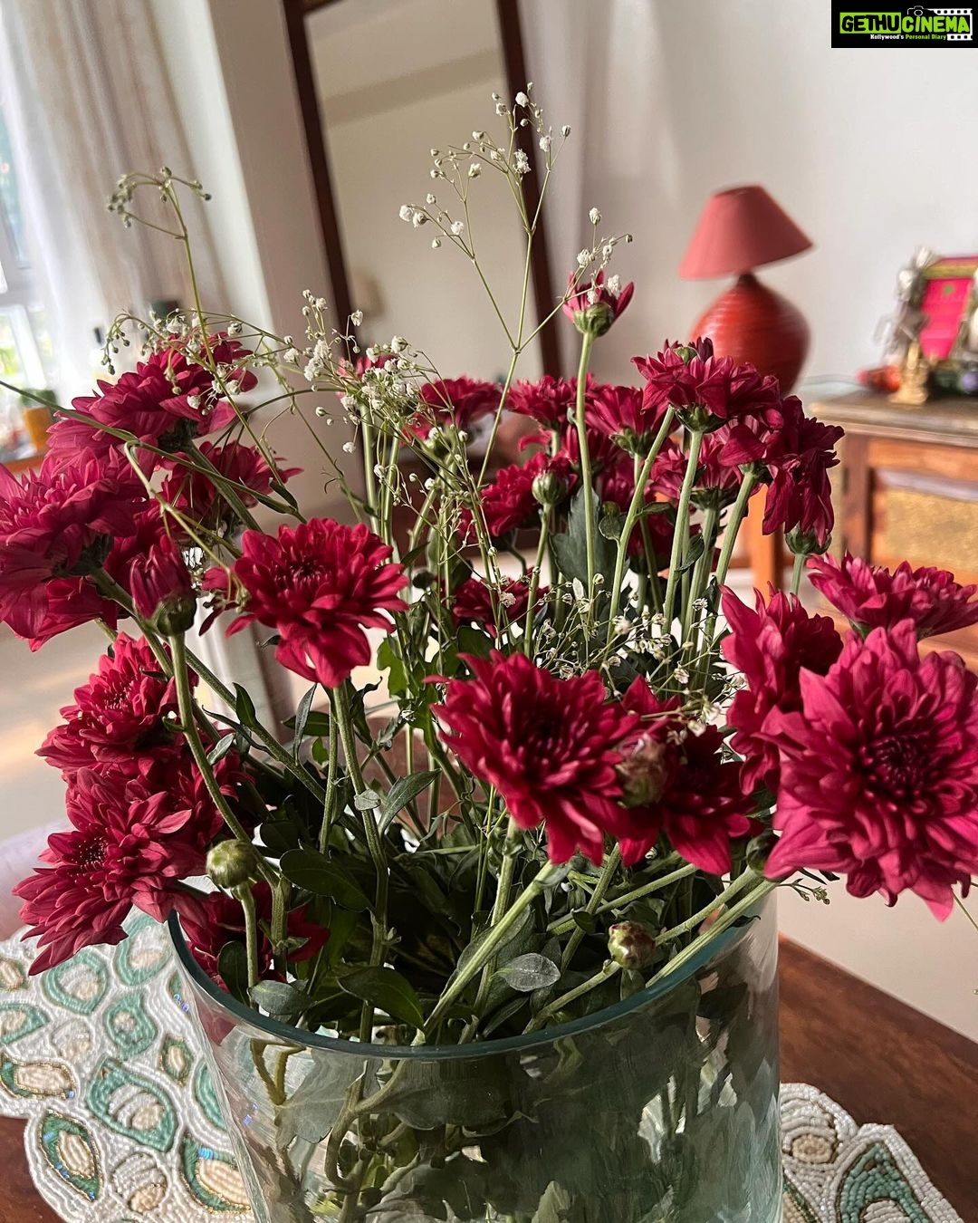Shreya Bugde Instagram - दिवाळी पाडवा !!!🌼🌸✨🧿