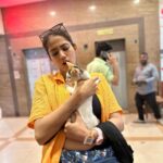 Shriya Tiwari Instagram - Cat story in just three pictures! And my jigar ka tukdas in last picture! ❤️ But why didn’t she stay? 😫 Ps: when you tell @karan__1010 to click your pictures, he won’t stop no matter even if the object goes away! 😂 . . . . . . . . . . . . . . . . . . #post #sunday #sundayfunday #animallover #animals #cat #catlover #catsofinstagram #pets #straycat #love #kind #happiness #friends #friendshipgoals #wildnout #shriyatiwari B.K.C