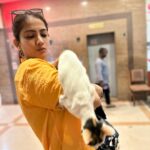 Shriya Tiwari Instagram - Cat story in just three pictures! And my jigar ka tukdas in last picture! ❤️ But why didn’t she stay? 😫 Ps: when you tell @karan__1010 to click your pictures, he won’t stop no matter even if the object goes away! 😂 . . . . . . . . . . . . . . . . . . #post #sunday #sundayfunday #animallover #animals #cat #catlover #catsofinstagram #pets #straycat #love #kind #happiness #friends #friendshipgoals #wildnout #shriyatiwari B.K.C