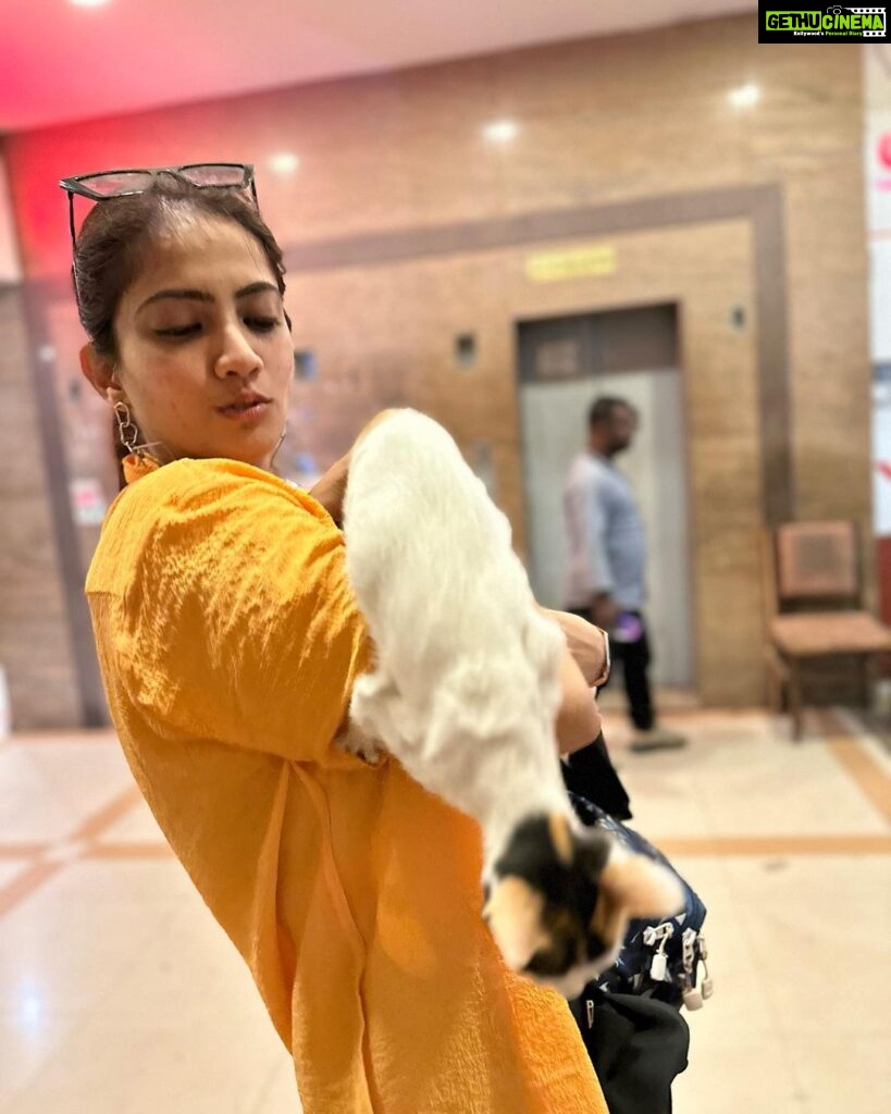 Shriya Tiwari Instagram - Cat story in just three pictures! And my jigar ka tukdas in last picture! ❤️ But why didn’t she stay? 😫 Ps: when you tell @karan__1010 to click your pictures, he won’t stop no matter even if the object goes away! 😂 . . . . . . . . . . . . . . . . . . #post #sunday #sundayfunday #animallover #animals #cat #catlover #catsofinstagram #pets #straycat #love #kind #happiness #friends #friendshipgoals #wildnout #shriyatiwari B.K.C