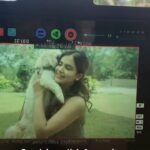 Shruthi Prakash Instagram - My star boyyy🥺❤️ @casperlovesginger