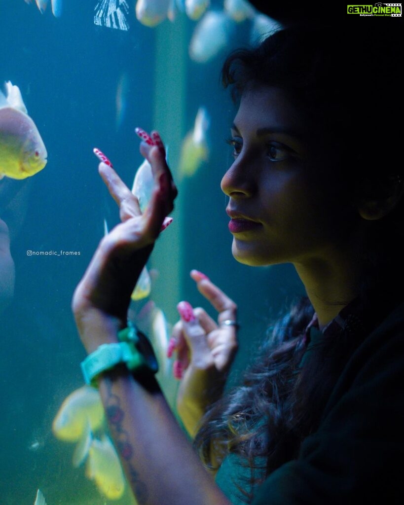 Shruthi Rajanikanth Instagram - Being a water sign leads to some connections 🐠🫧💦 📸 @nomadic_frames