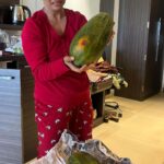 Shruti Ulfat Instagram - Spot dada got @shrutiulfat papayas from somewhere far far away, coz v were shooting outdoor in Mahabaleshwar.. turned out the ones he got were absolutely raw n would take days to ripen.. I have closely witnessed the disappointment of My Fruit lover friend over the last couple of days 🤣 Tragedy is Comedy to a third person from a detached perspective..😆 Finally v left the papayas back, while coming back home to Mumbai.. Such is life… v all move on eventually n leave disappointments n things behind 😊❤️✌️ n laugh over it one day in the future..🤣 The Fruit will eventually be consumed by whoever is destined to eat it 🤷🏻‍♀️ n v ll go buy ripe tasty papayas in Mumbai!! @anitaraaj @preetipurichoudhary @starplus @directorskutproduction #behindthescenes #yrkkh #mahabaleshwar #outdoors #comedy #tragedyiscomedy #travelling #starplus #papayas Regenta Green Leaf Resort & Spa, Mahabaleshwar