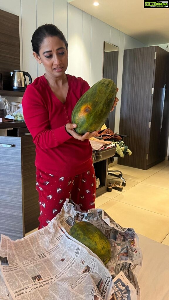 Shruti Ulfat Instagram - Spot dada got @shrutiulfat papayas from somewhere far far away, coz v were shooting outdoor in Mahabaleshwar.. turned out the ones he got were absolutely raw n would take days to ripen.. I have closely witnessed the disappointment of My Fruit lover friend over the last couple of days 🤣 Tragedy is Comedy to a third person from a detached perspective..😆 Finally v left the papayas back, while coming back home to Mumbai.. Such is life… v all move on eventually n leave disappointments n things behind 😊❤️✌️ n laugh over it one day in the future..🤣 The Fruit will eventually be consumed by whoever is destined to eat it 🤷🏻‍♀️ n v ll go buy ripe tasty papayas in Mumbai!! @anitaraaj @preetipurichoudhary @starplus @directorskutproduction #behindthescenes #yrkkh #mahabaleshwar #outdoors #comedy #tragedyiscomedy #travelling #starplus #papayas Regenta Green Leaf Resort & Spa, Mahabaleshwar
