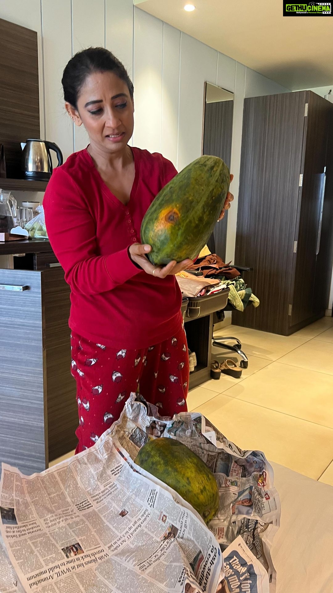 Shruti Ulfat Instagram - Spot dada got @shrutiulfat papayas from somewhere far far away, coz v were shooting outdoor in Mahabaleshwar.. turned out the ones he got were absolutely raw n would take days to ripen.. I have closely witnessed the disappointment of My Fruit lover friend over the last couple of days π€£ Tragedy is Comedy to a third person from a detached perspective..π Finally v left the papayas back, while coming back home to Mumbai.. Such is lifeβ¦ v all move on eventually n leave disappointments n things behind πβ€οΈβοΈ n laugh over it one day in the future..π€£ The Fruit will eventually be consumed by whoever is destined to eat it π€·π»ββοΈ n v ll go buy ripe tasty papayas in Mumbai!! @anitaraaj @preetipurichoudhary @starplus @directorskutproduction #behindthescenes #yrkkh #mahabaleshwar #outdoors #comedy #tragedyiscomedy #travelling #starplus #papayas Regenta Green Leaf Resort & Spa, Mahabaleshwar