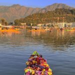 Sidhika Sharma Instagram – Dal mornings:)🍁🍁🍁🍁🍁🍁🍁🍁🍁🍁🍁🍁 Dal Lake, Srinagar, Jammu And Kashmir