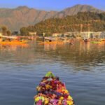 Sidhika Sharma Instagram - Dal mornings:)🍁🍁🍁🍁🍁🍁🍁🍁🍁🍁🍁🍁 Dal Lake, Srinagar, Jammu And Kashmir