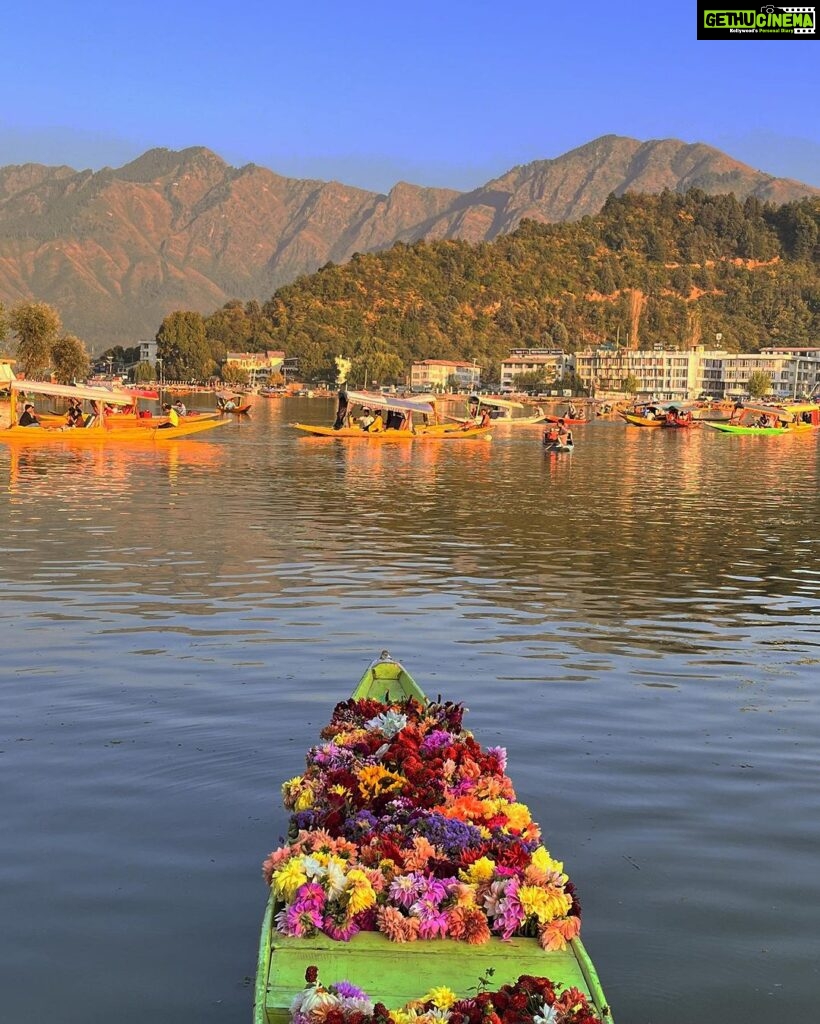Sidhika Sharma Instagram - Dal mornings:)🍁🍁🍁🍁🍁🍁🍁🍁🍁🍁🍁🍁 Dal Lake, Srinagar, Jammu And Kashmir