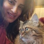 Smita Gondkar Instagram - Congratulations on your parenthood kitty.. God bless your kittens.. Wishing they all get loving families.. . . . #smitagondkar #smittens #cat #catlove #cats #explorepage #trending #instagram