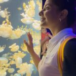 Smrity Sinha Instagram - The one thing that a Fish can never find is Water…. 🐠🪼🐬🐳🐋 #savetheocean #instagood #seaaquarium #singapore #smritysinha #mytravelstory S.E.A Aquarium, Sentosa, Singapore