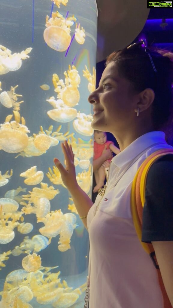Smrity Sinha Instagram - The one thing that a Fish can never find is Water…. 🐠🪼🐬🐳🐋 #savetheocean #instagood #seaaquarium #singapore #smritysinha #mytravelstory S.E.A Aquarium, Sentosa, Singapore