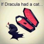 Sneha Ullal Instagram - 😂😂😂😂😂😂😂😂😂😂😂😂😂😂😂😂😂😂😂😂😂😂😂😂😂😂😂😂😂😂😂😂😂😂