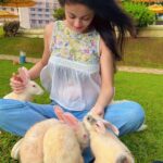 Sneha Ullal Instagram - World Vegan Day - Waiting for the day where compassion meets each of us one choice at a time. #snehaullal #vegan #worldveganday #crueltyfree #crueltyfreebeauty Taj Lands End, Mumbai