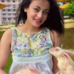 Sneha Ullal Instagram - World Vegan Day - Waiting for the day where compassion meets each of us one choice at a time. #snehaullal #vegan #worldveganday #crueltyfree #crueltyfreebeauty Taj Lands End, Mumbai