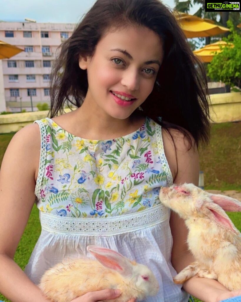 Sneha Ullal Instagram - World Vegan Day - Waiting for the day where compassion meets each of us one choice at a time. #snehaullal #vegan #worldveganday #crueltyfree #crueltyfreebeauty Taj Lands End, Mumbai
