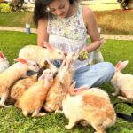 Sneha Ullal Instagram - World Vegan Day - Waiting for the day where compassion meets each of us one choice at a time. #snehaullal #vegan #worldveganday #crueltyfree #crueltyfreebeauty Taj Lands End, Mumbai