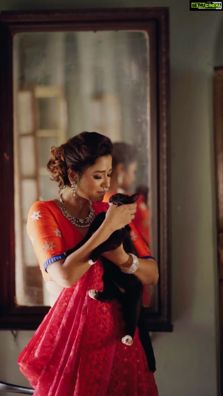 Sohini Sarkar Instagram - Subho Maha Astami ❤️🌻🤍 Sharodiya Shoot for @sangbadpratidin Videography: @that_cam_boy_official Makeup : @abhijitpl2 Sari : Priyogopal Bishoyi Jewellery: @tahir_somethingsopure Blouse : @parama_g Styling : @bidisha_chattopadhyay Coordination : @shampalimaulick Location : @92_kabisukanta_sarani 🔗 @socialyard_digital #durgapuja #kolkata #durga #durgapujo #durgamaa #calcutta #agomoni #pujo #maadurga #kumartuli #kolkatadurgapuja #kolkatagram #bengal #maa #instagram #bengali #durgapujokolkata #devinegoddess #pujorchobi