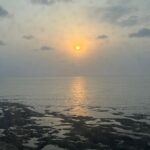 Sonam Bajwa Instagram -