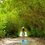 Soniya Bansal Instagram - life comes from the earth and life returns to the earth. . . . . . . . . . . . . . . . . . . . . . . . . . . . . . . . . . . . . . . . . . . . . . . . . #travel photography #fashionstyle #soniyabansal #soniyabansal #actress #model #fashion #instagram #internationalmodel #actress #soniyabansal #lifestyle #Soniyabansal