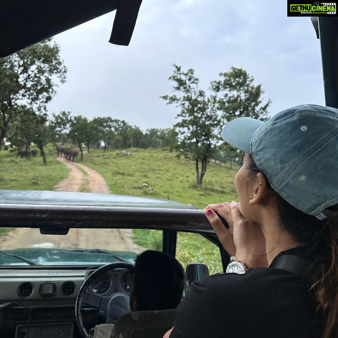 Spandana Palli Instagram - Vibing with nature 🌷💃🏼 Bandipur Tiger Reserve
