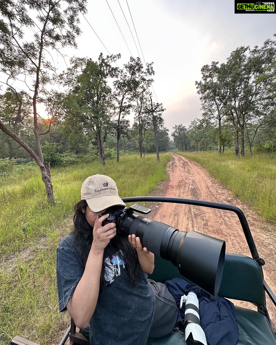 Srinda Instagram - Heart is full ♥️🌳 Tadoba - Andhari Tiger Reserve